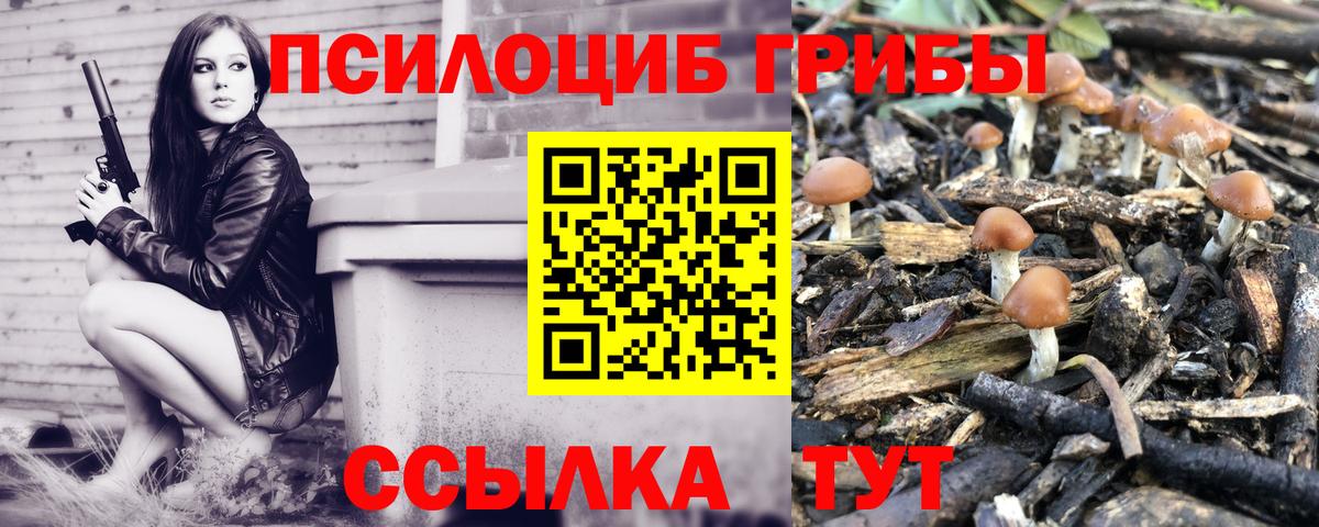 Галлюциногенные грибы Magic Shrooms Белореченск