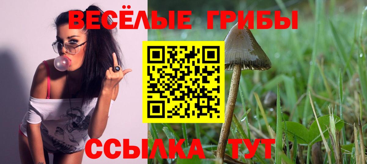 Галлюциногенные грибы Psilocybe  Псилоцибиновые грибы Cubensis  Белореченск  Вход с VPN 